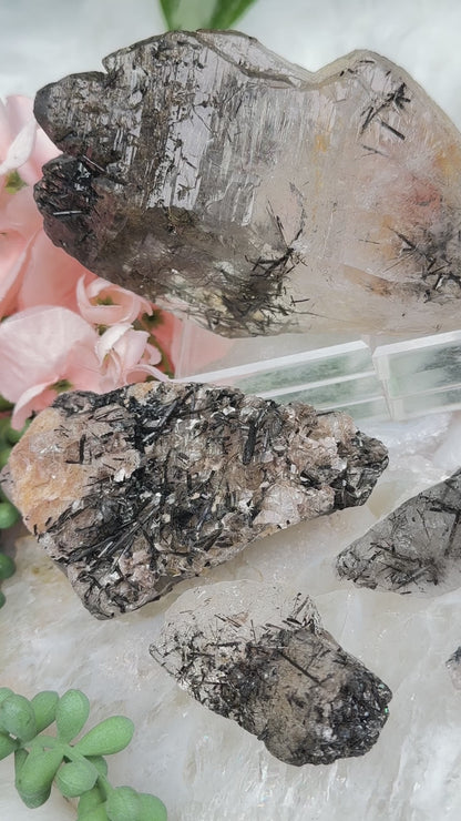 Black Tourmaline in Quartz