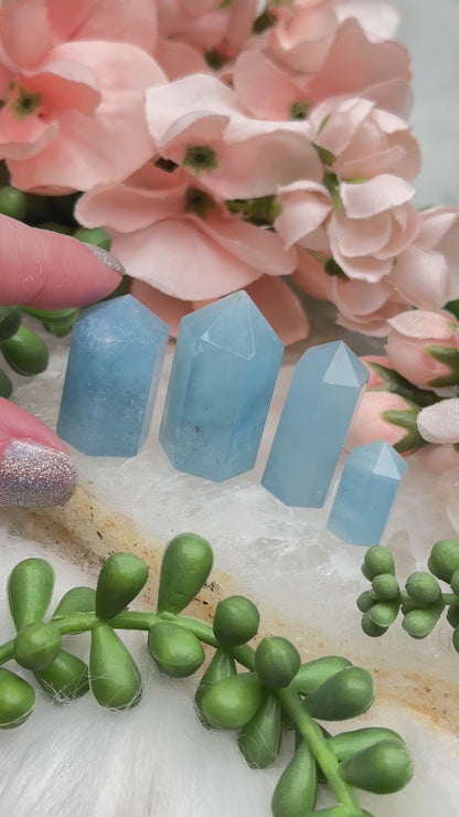 little-aquamarine-points