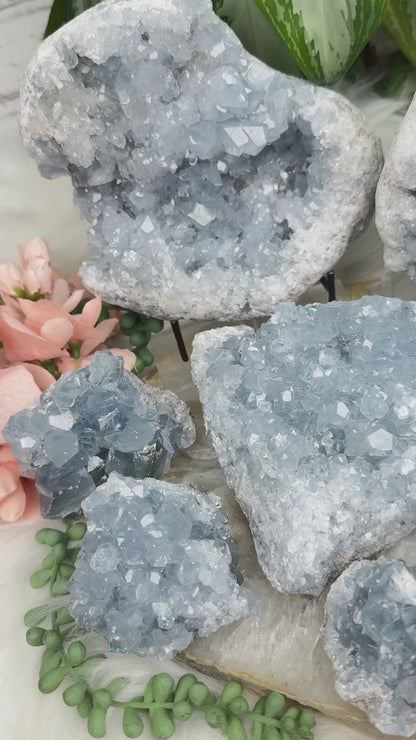 Blue Celestite Clusters