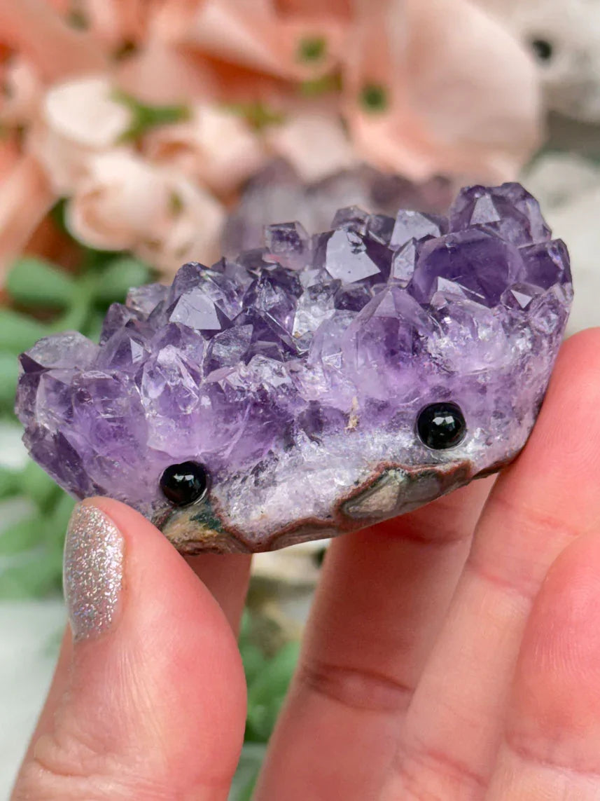 purple-amethyst-hedgehog