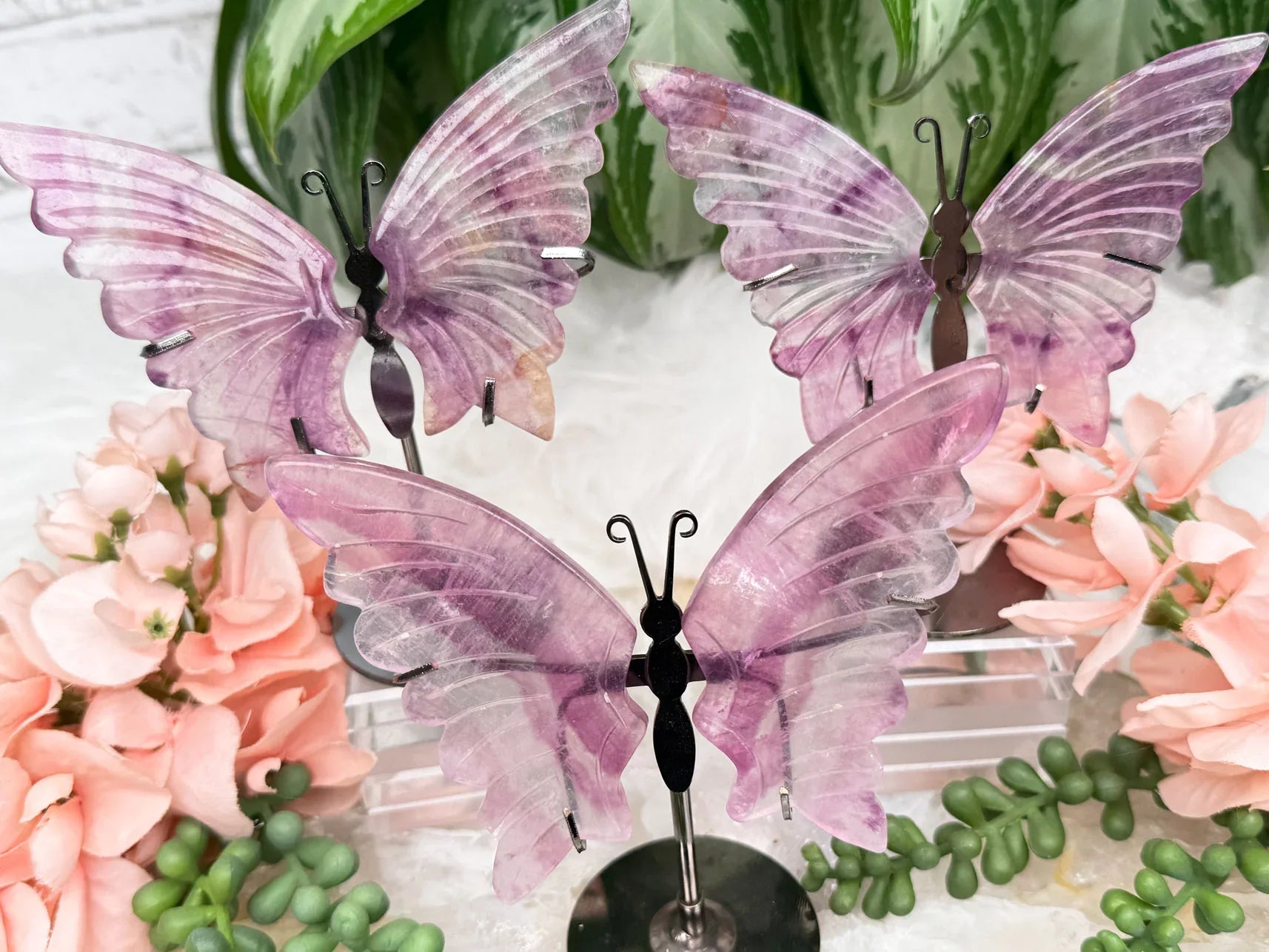 purple-fluorite-butterflies-on-metal-stand