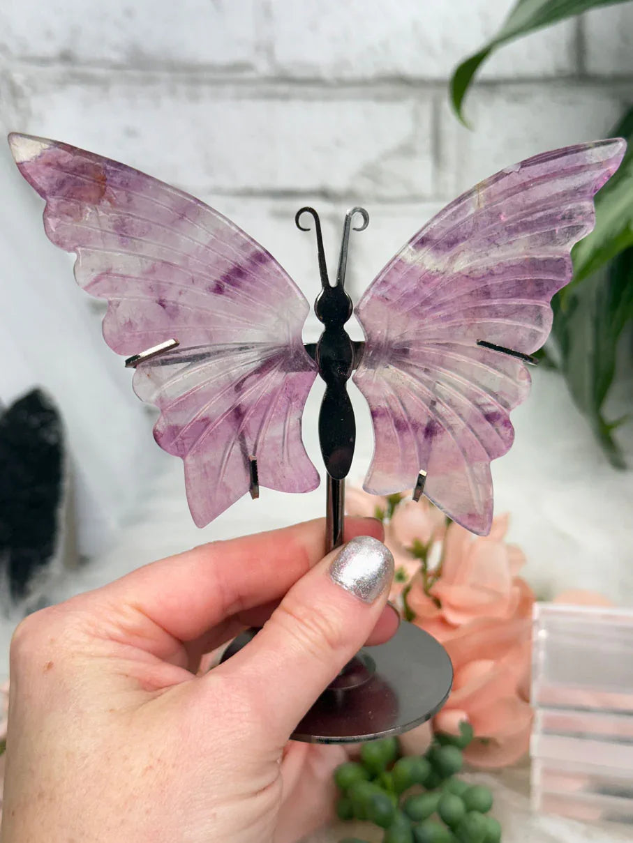 purple-fluorite-butterfly