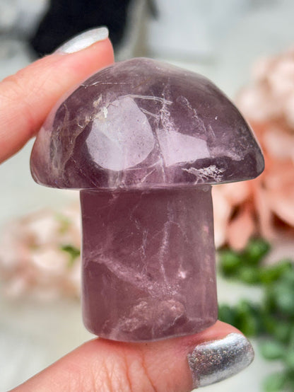 purple-fluorite-mushroom