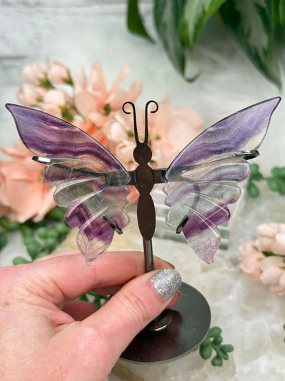 purple-green-fluorite-butterfly