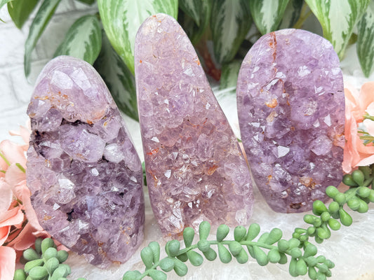 Raw Amethyst Freeforms