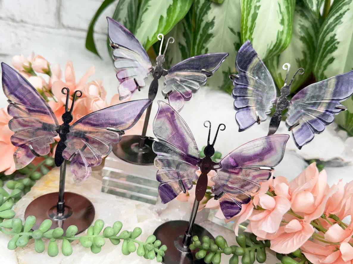 rainbow-fluorite-butterflies