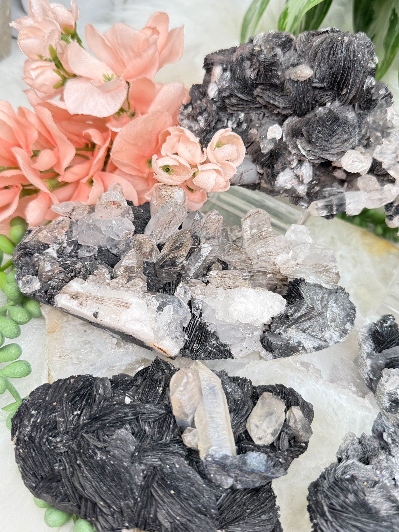 rare-quartz-hematite-rose-clusters-black-white