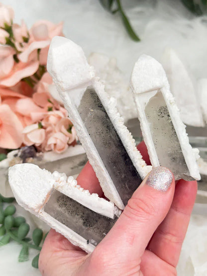 Inner Mongolia Wands