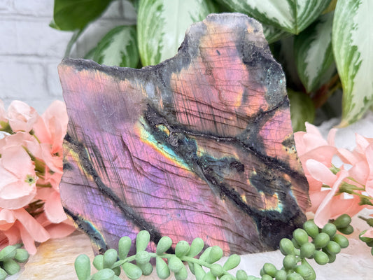 Semi-Polished Purple Labradorite