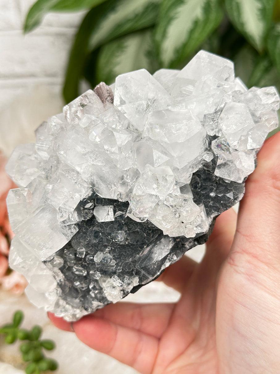 small-black-chalcedony-white-apophyllite