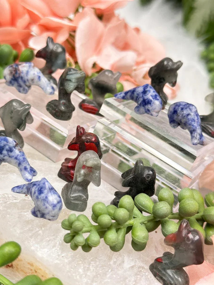small-dolphin-crystals