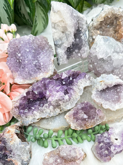 Indian Amethyst