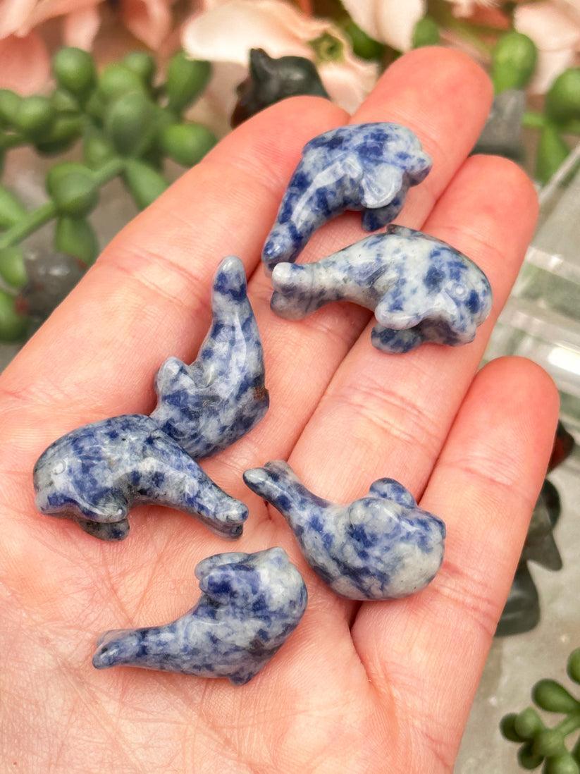 sodalite-dolphins