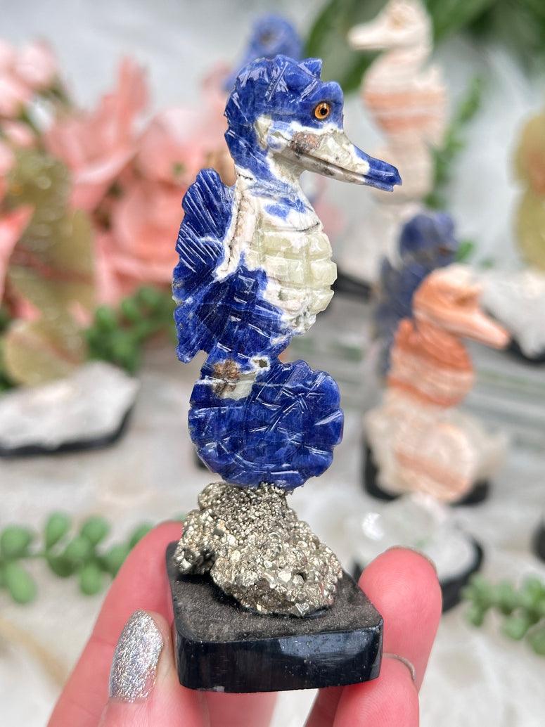 sodalite-seahorse