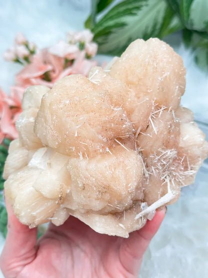 Peach Stilbite Clusters