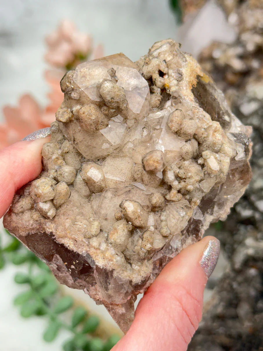 tan-lodolite-quartz-crystal-cluster