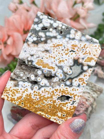 yellow-orbicular-ocean-jasper-slab