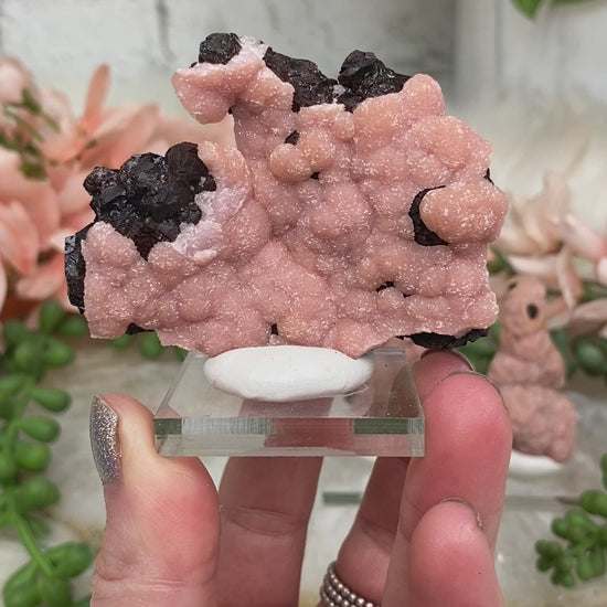 pink-rhodochrosite-chihuahua-mexico