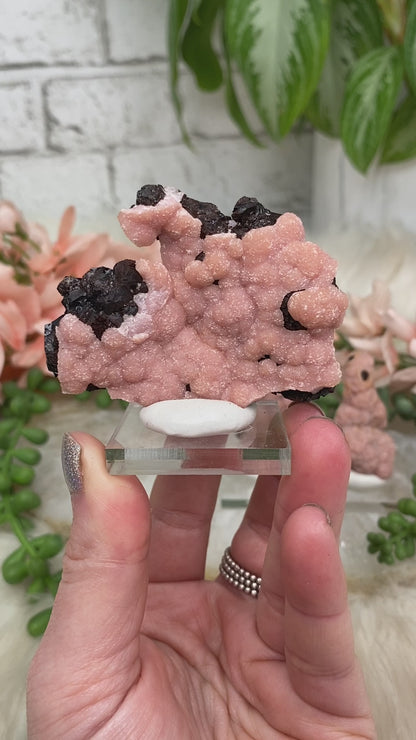 pink-rhodochrosite-chihuahua-mexico