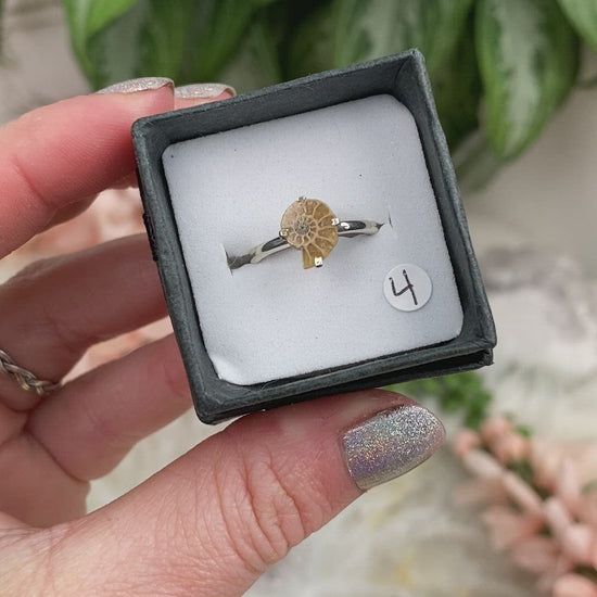 Sterling-Silver-Ammonite-Ring-Video