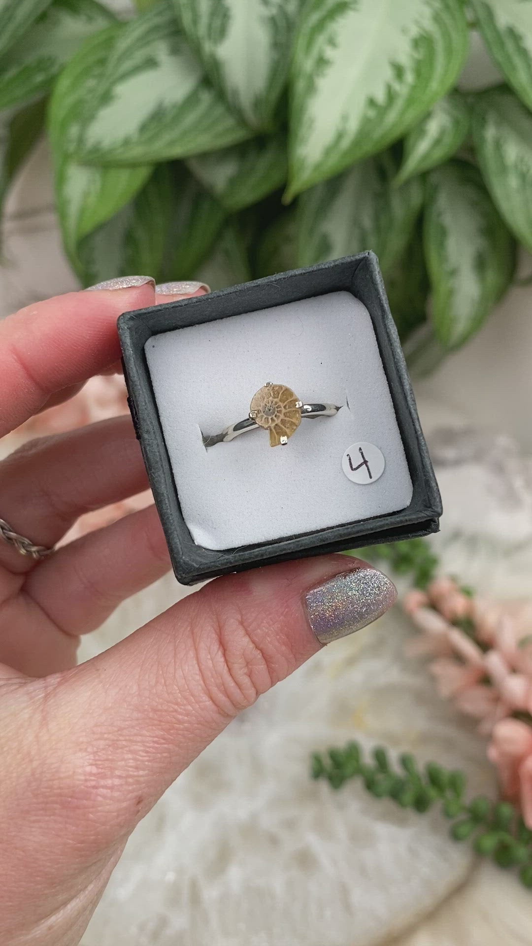 Sterling-Silver-Ammonite-Ring-Video