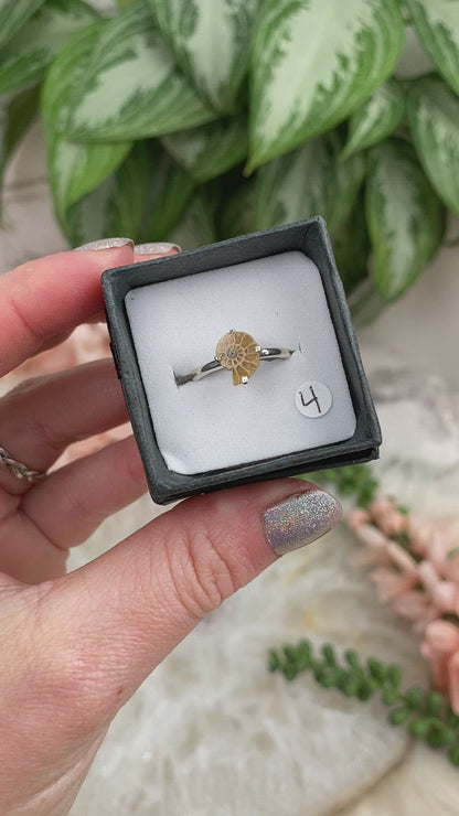 Sterling-Silver-Ammonite-Ring-Video