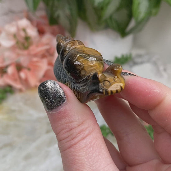 Yellow-Tiger-Eye-Snails-Crystal-Video