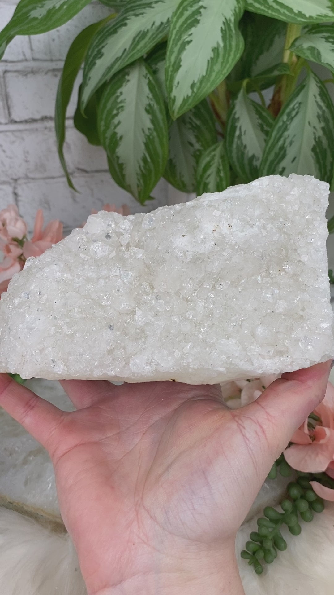 off-white-apophyllite-cluster