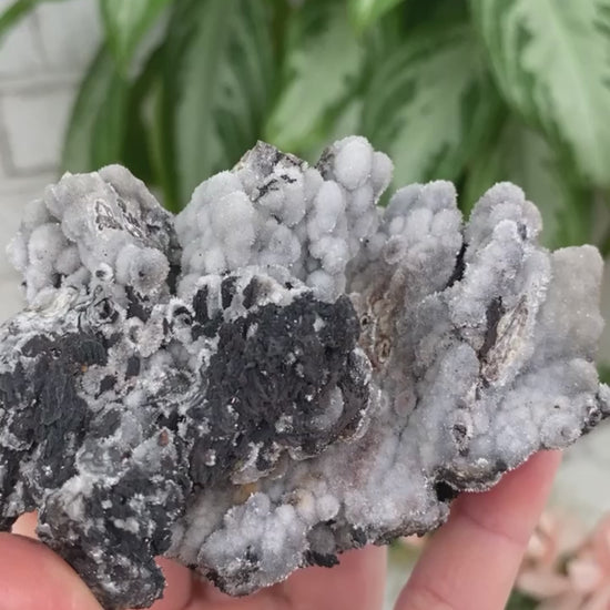 gray-black-willemite-botryoidal-crystal