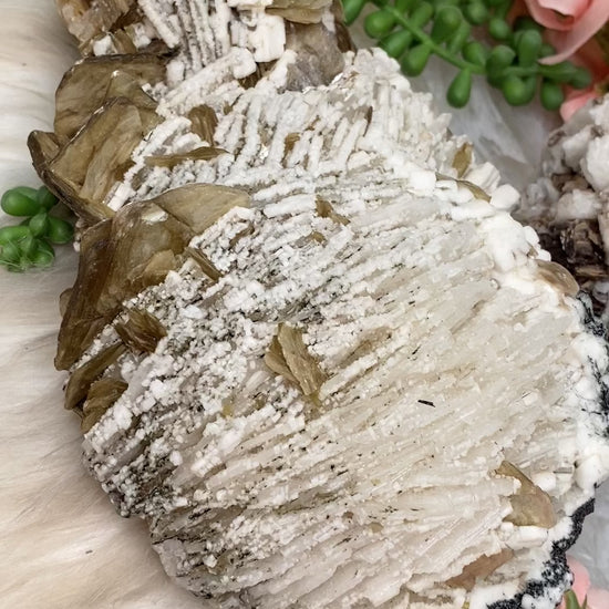 large-cleavelandite-mica-statement-crystal