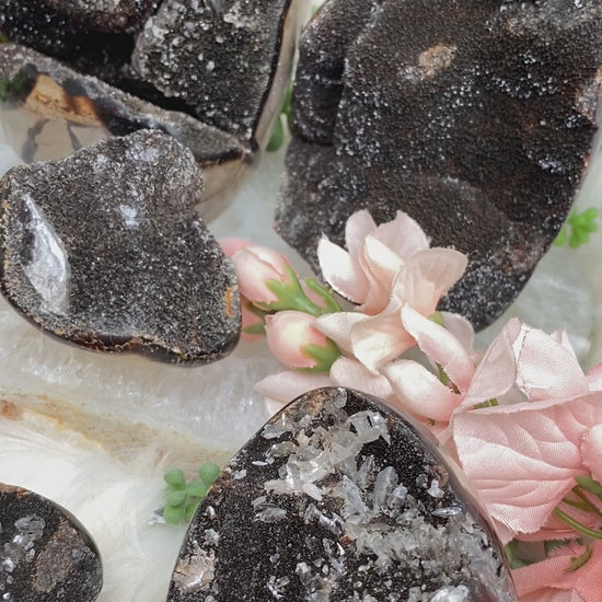 standing-septarian-eggs