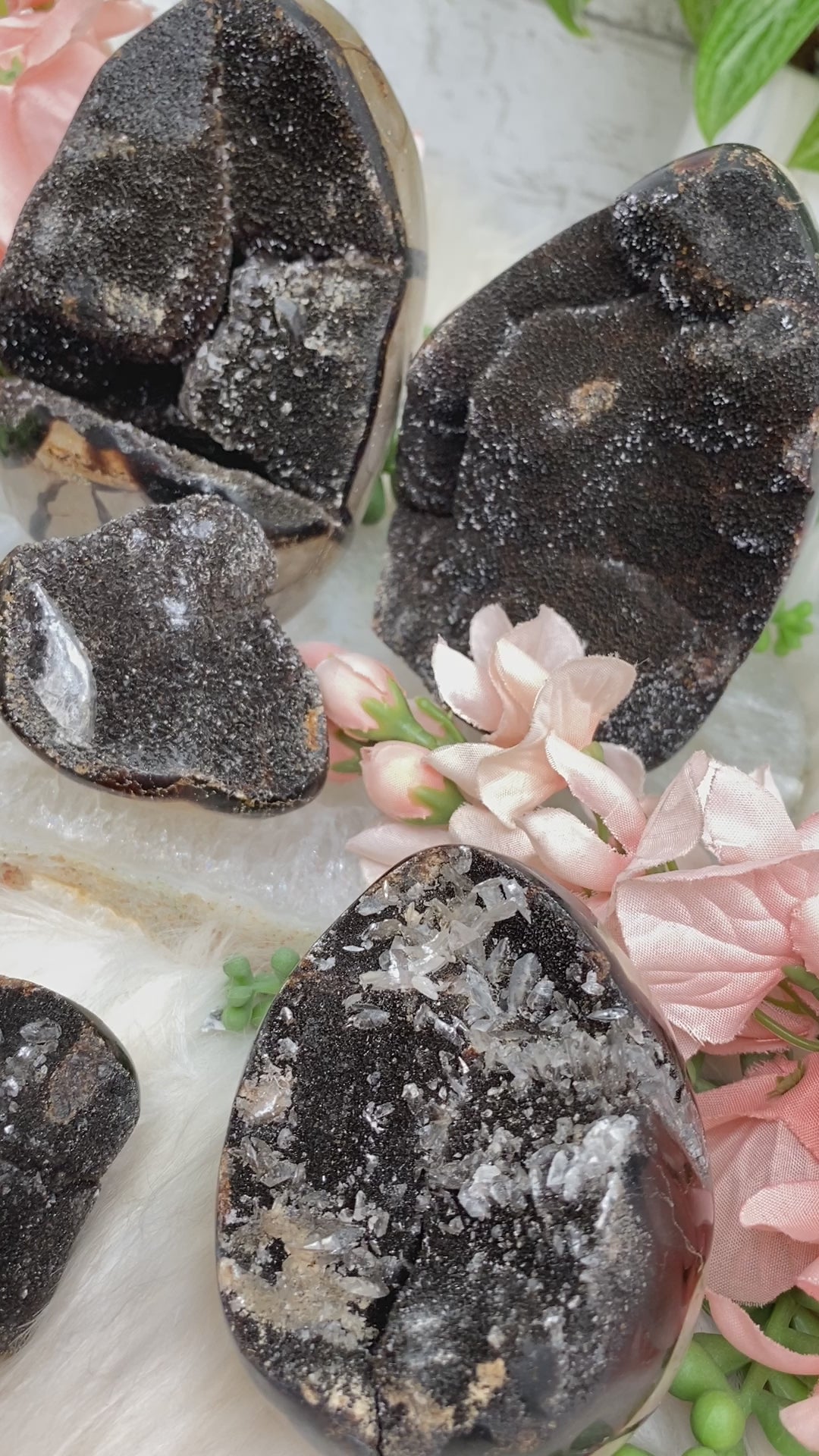 standing-septarian-eggs