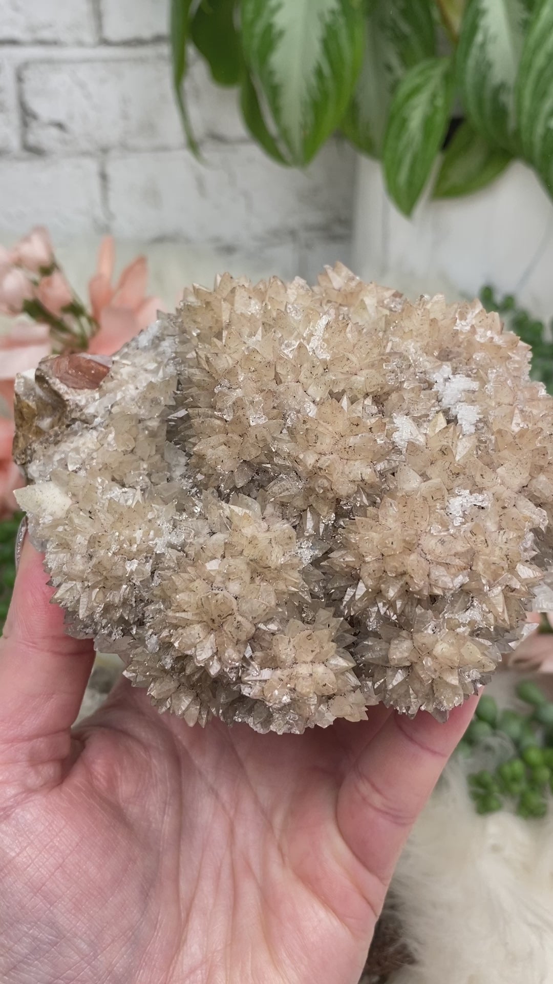 dogtooth-calcite-from-mexico