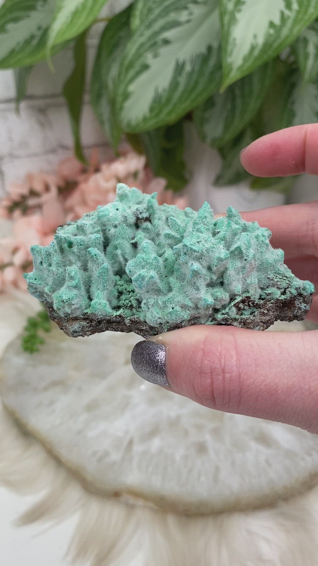 Teal-Kobyashevite-Crystals-from-Durango-Mexico for sale