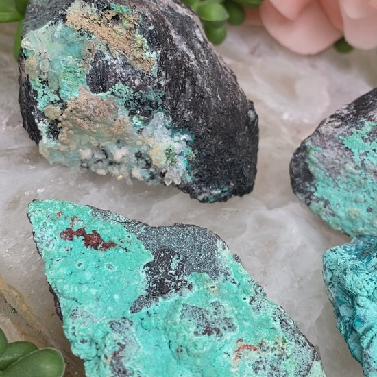 chrysocolla-shattuckite-pieces