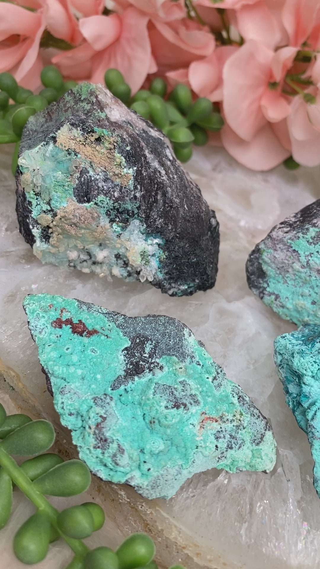 chrysocolla-shattuckite-pieces