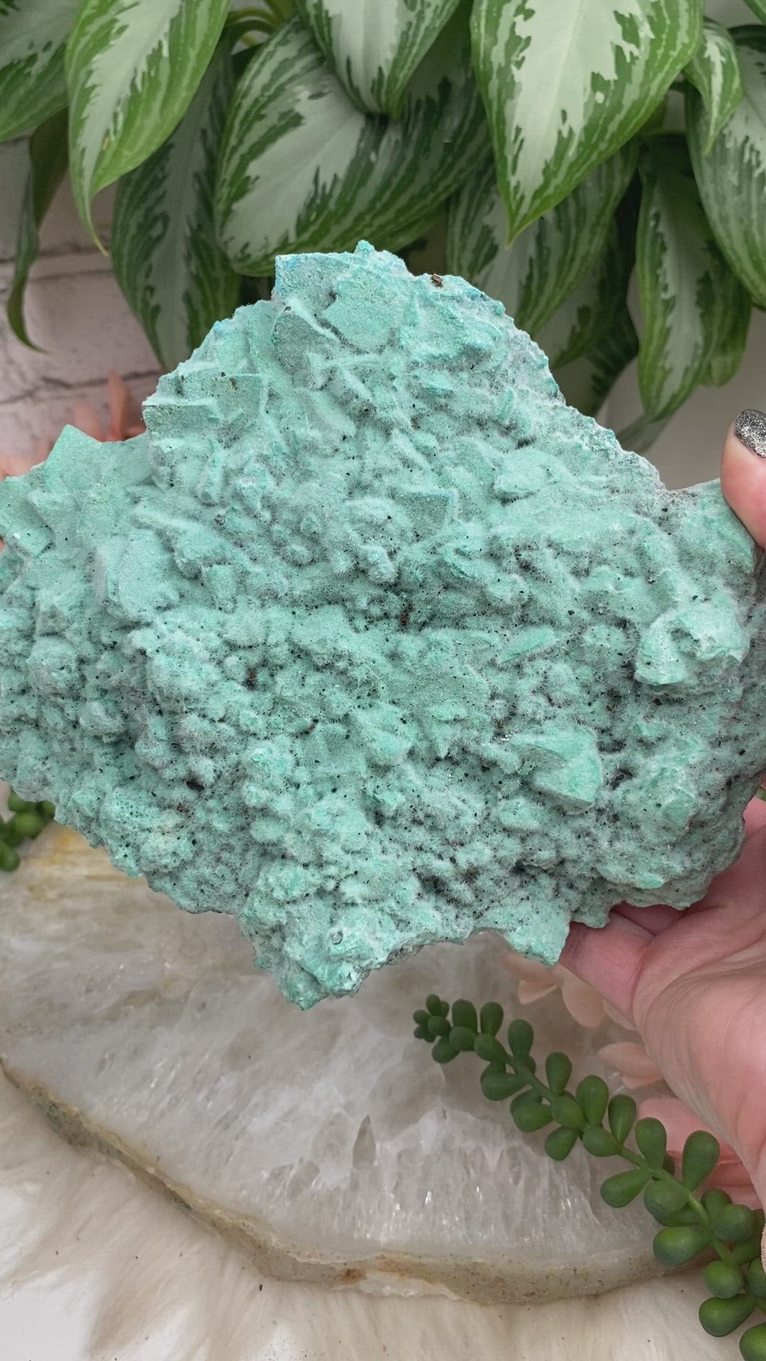 Large-Teal-Blue-Kobyashevite-Crystal-Clusters-for-Sale-Video