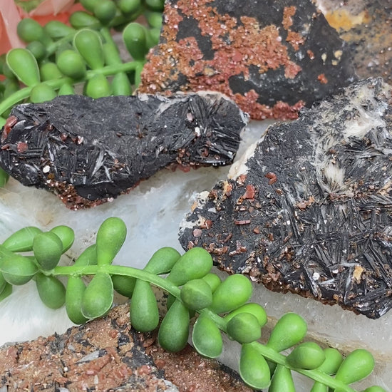 vanadinite-on-black-baryte
