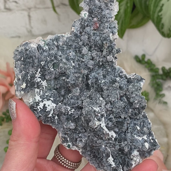 amethyst-flowers-from-brazil