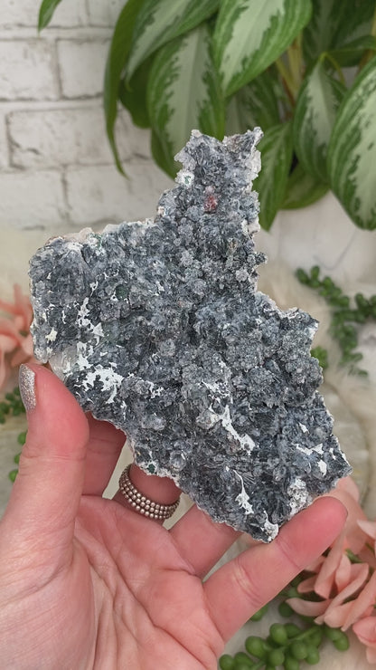 amethyst-flowers-from-brazil