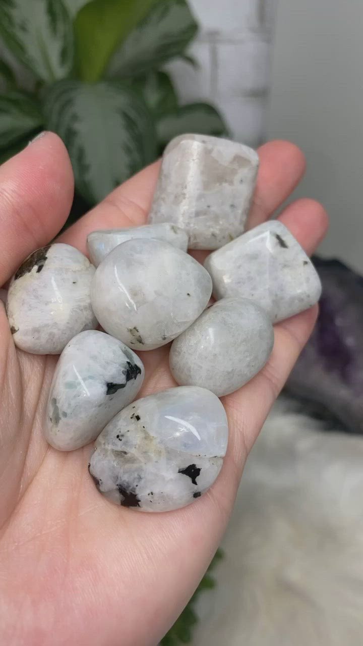 Tumbled Rainbow Moonstone Crystal Stones video