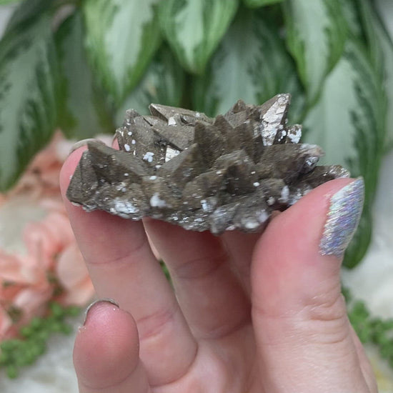 Raw-Dogtooth-Point-Calcite-Crystals for sale