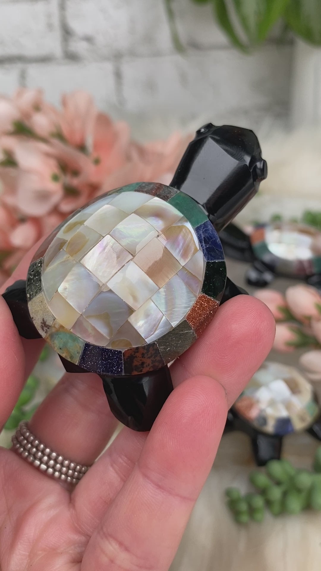 mexico-obsidian-crystal-turtle