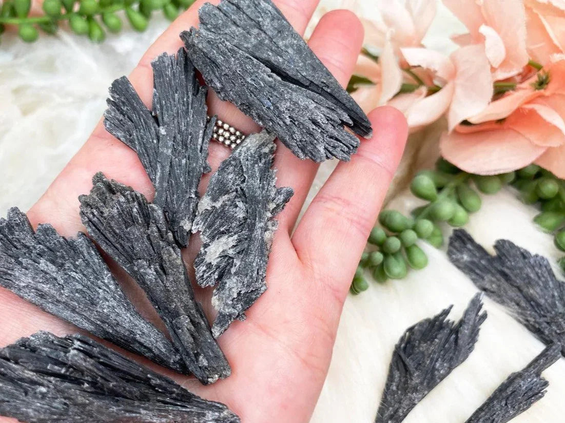    Black-Kyanite-Blades
