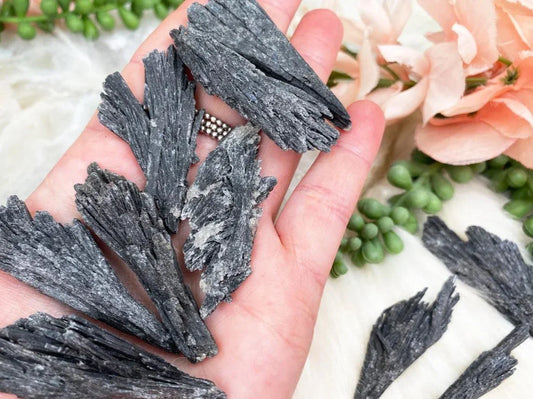    Black-Kyanite-Blades