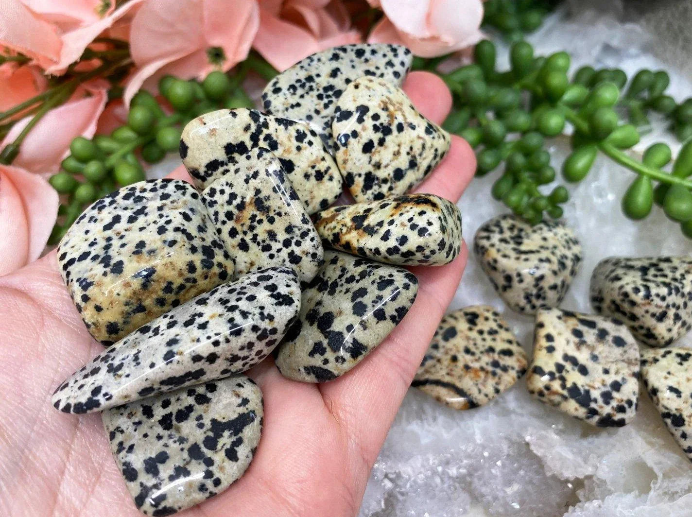 Tumbled-Black-White-Dalmatian-Stone-Crystals