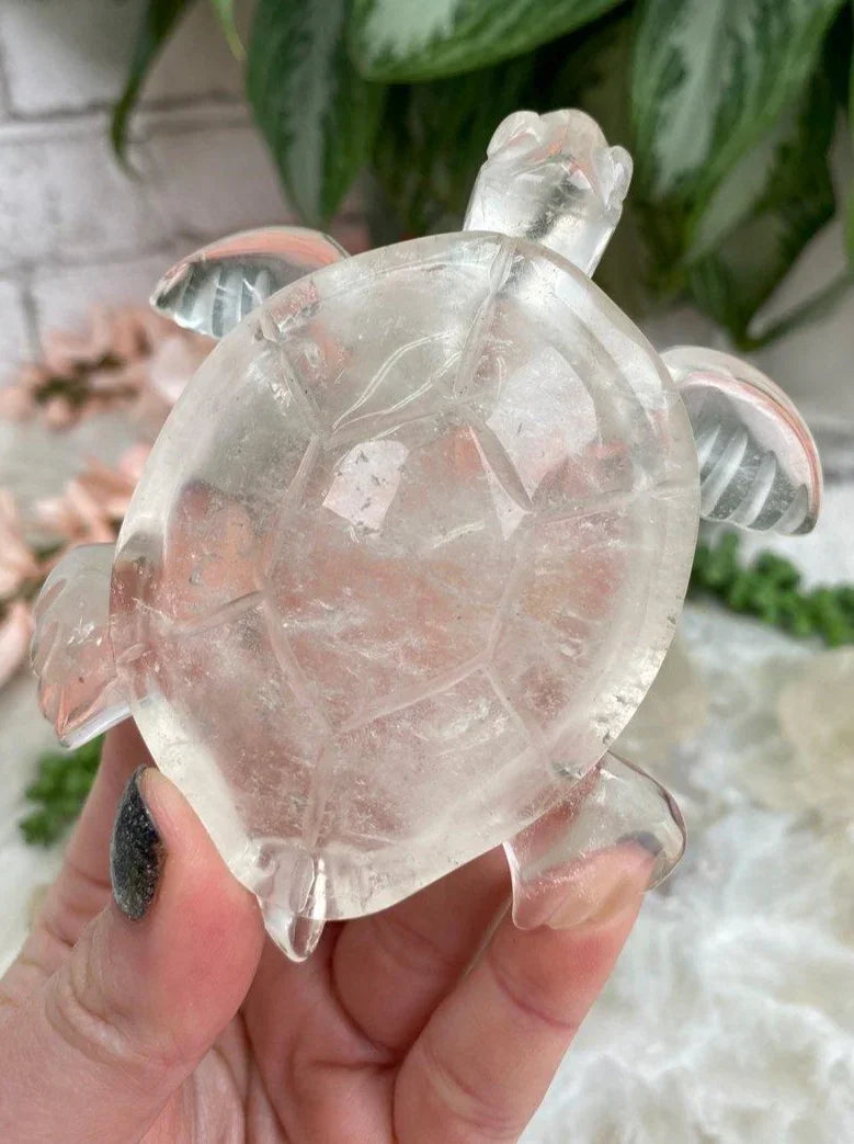 Brazil-Clear-Quartz-Sea-Turtle
