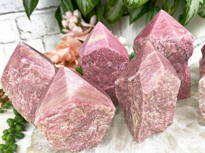 Pink Petrified Wood Points