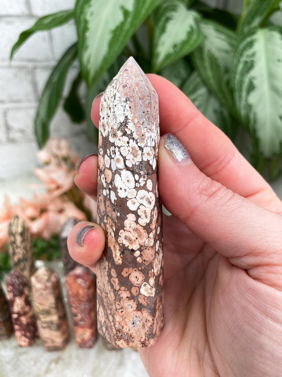 Brown-Leopard-Jasper-Point