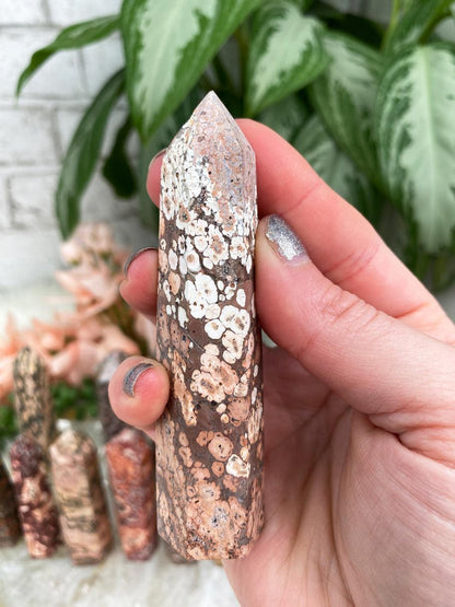 Brown-Leopard-Jasper-Point